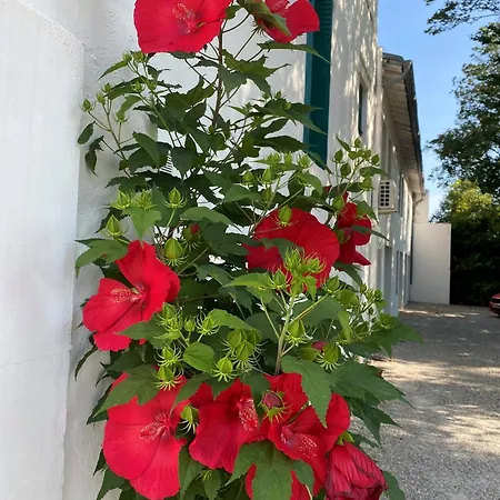 Beausoleil Montélimar